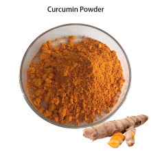 Natural Herbal Extract Powder Turmeric 95% Curcumin for Nutritional Supplements